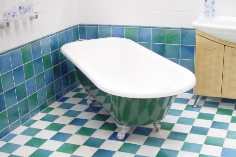 Bath; bathtub. The French for "bath; bathtub" is "baignoire".