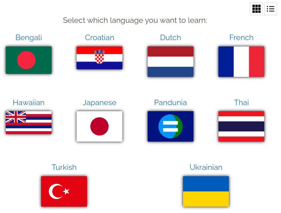 language flags view